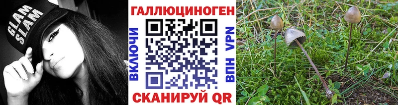 Галлюциногенные грибы мухоморы  Чита 